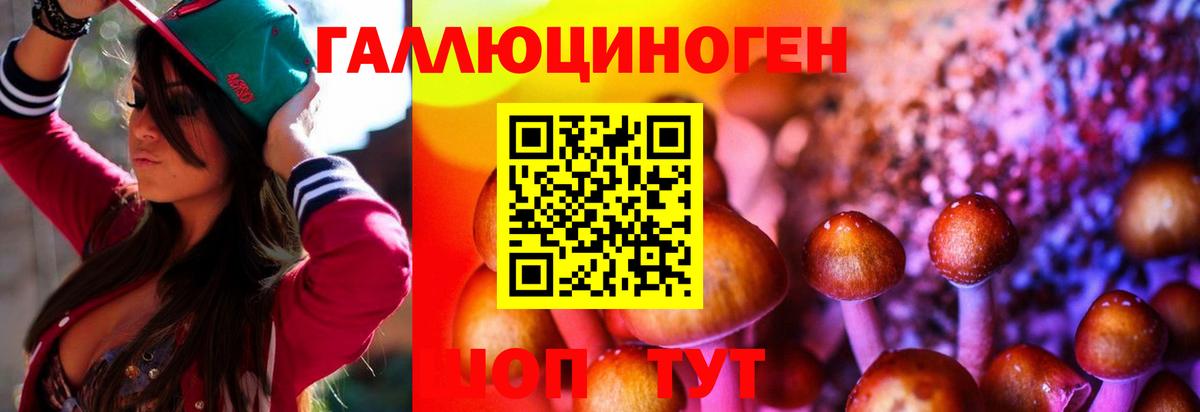 Родники  Галлюциногенные грибы мицелий  Вход с VPN  наркота  Псилоцибиновые грибы мухоморы 
